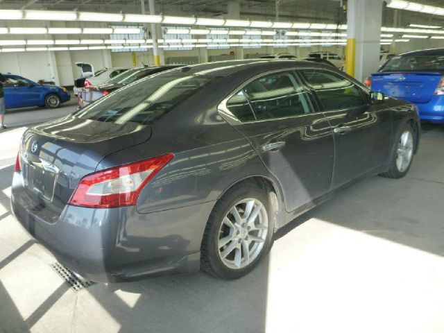 Nissan Maxima 4.6L Eddie Bauer Sedan