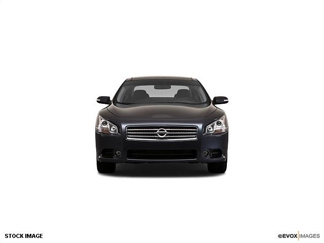 Nissan Maxima 2010 photo 1