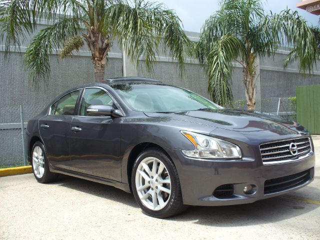 Nissan Maxima 2010 photo 2