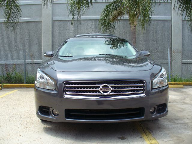 Nissan Maxima 2010 photo 3