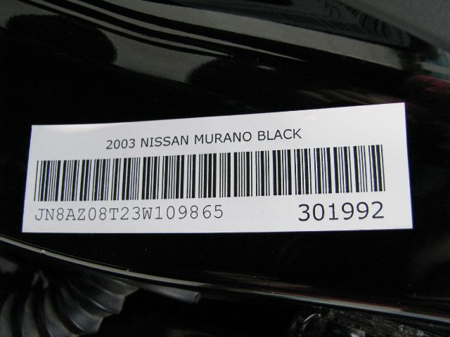 Nissan Murano 2003 photo 20