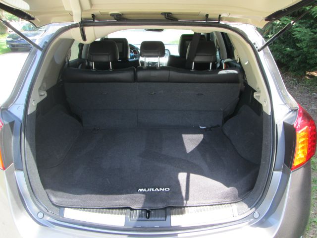 Nissan Murano 2010 photo 1