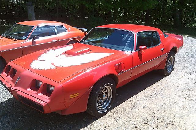 Pontiac Firebird 1979 photo 1