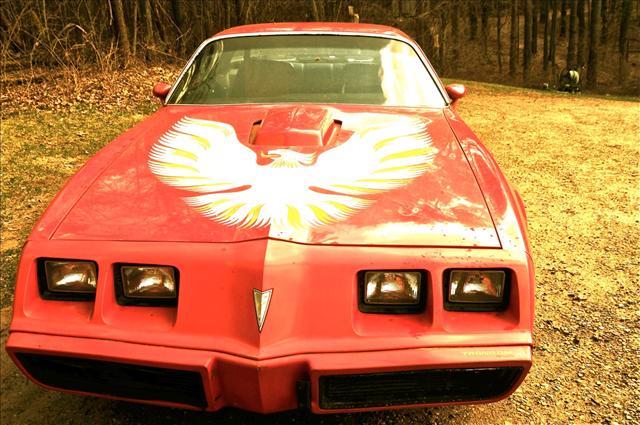 Pontiac Firebird 1979 photo 3