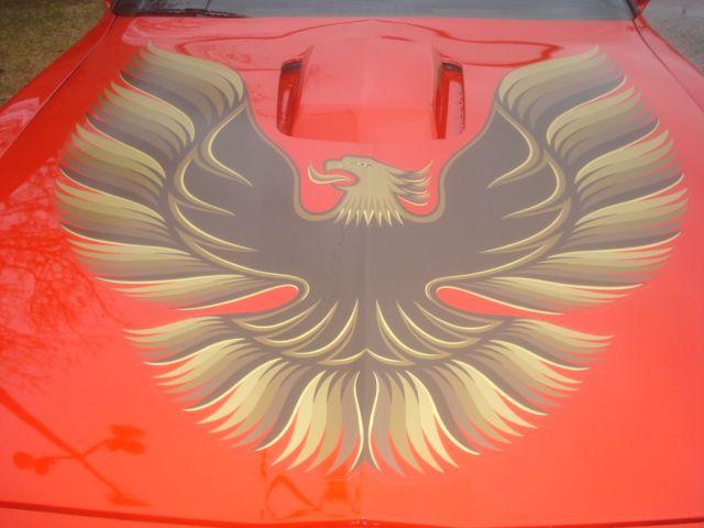 Pontiac Firebird 1979 photo 1