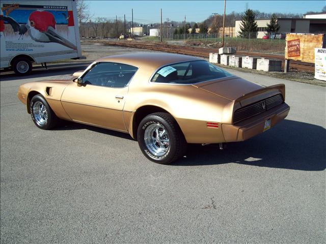 Pontiac Firebird 1981 photo 1