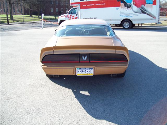 Pontiac Firebird 1981 photo 3