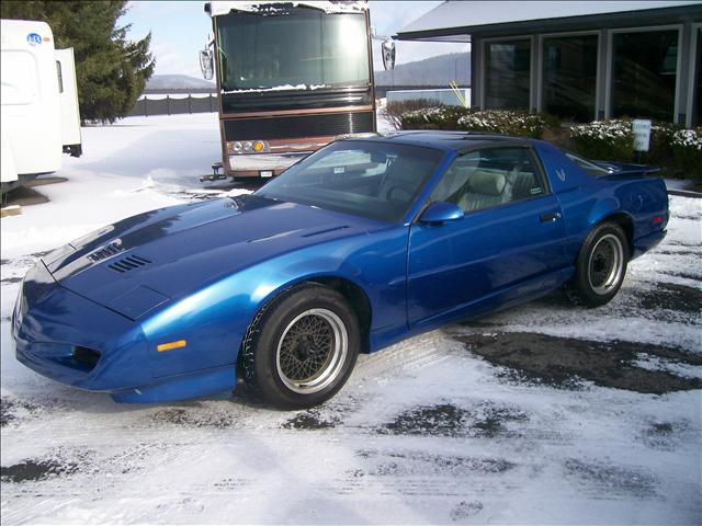 Pontiac Firebird 1991 photo 2