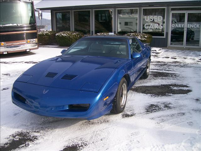 Pontiac Firebird 1991 photo 1