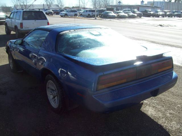 Pontiac Firebird 1991 photo 3