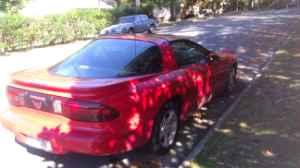 Pontiac Firebird 1997 photo 1