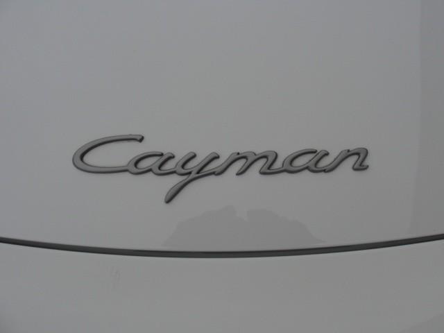 Porsche Cayman 2010 photo 3