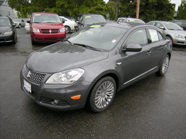 Suzuki Kizashi 2010 photo 0