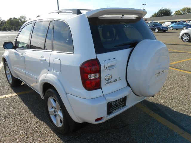 Toyota RAV4 2004 photo 1