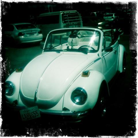 Volkswagen Beetle 1977 photo 1