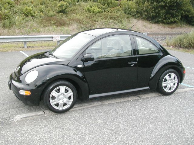 Volkswagen New Beetle 2002 photo 1