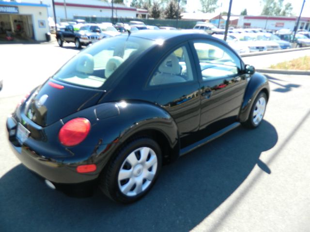 Volkswagen New Beetle 2002 photo 1